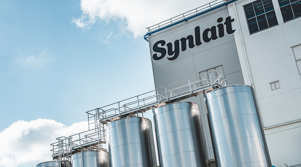 Synlait denies discussions with A2 Milk and Fonterra over potential transaction