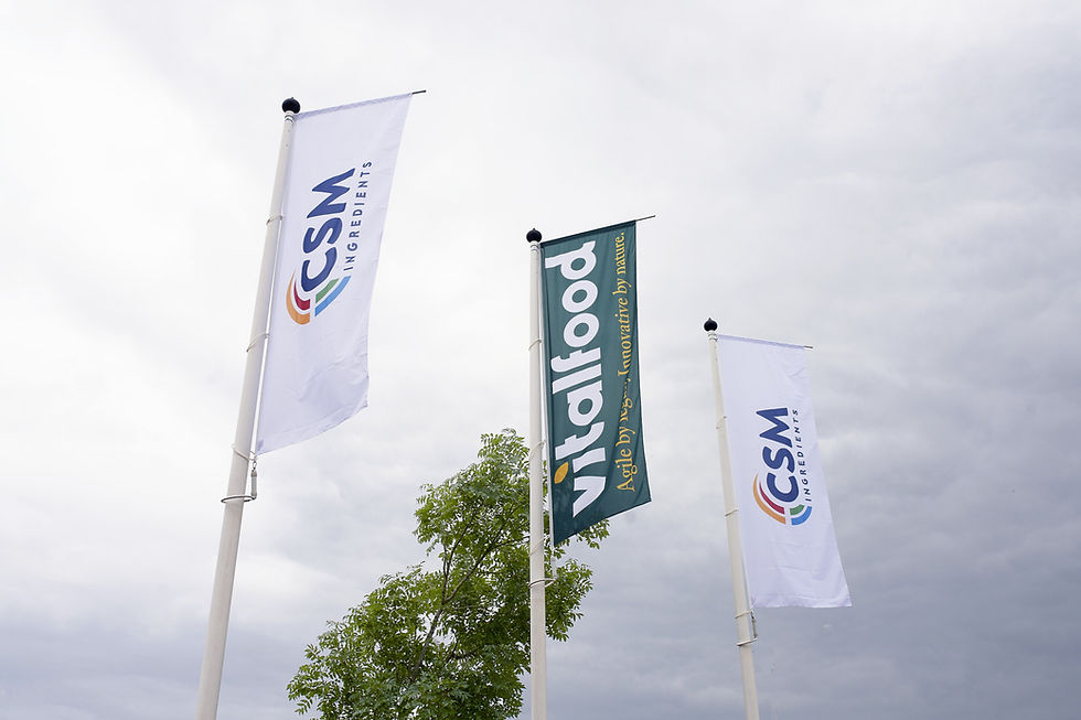 Nexture debuts as new holding company for CSM Ingredients and Italcanditi