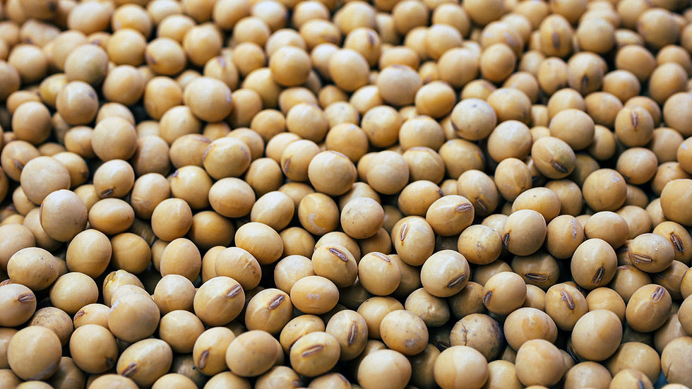 ADM closes Bushnell facility, enhances soy protein production network