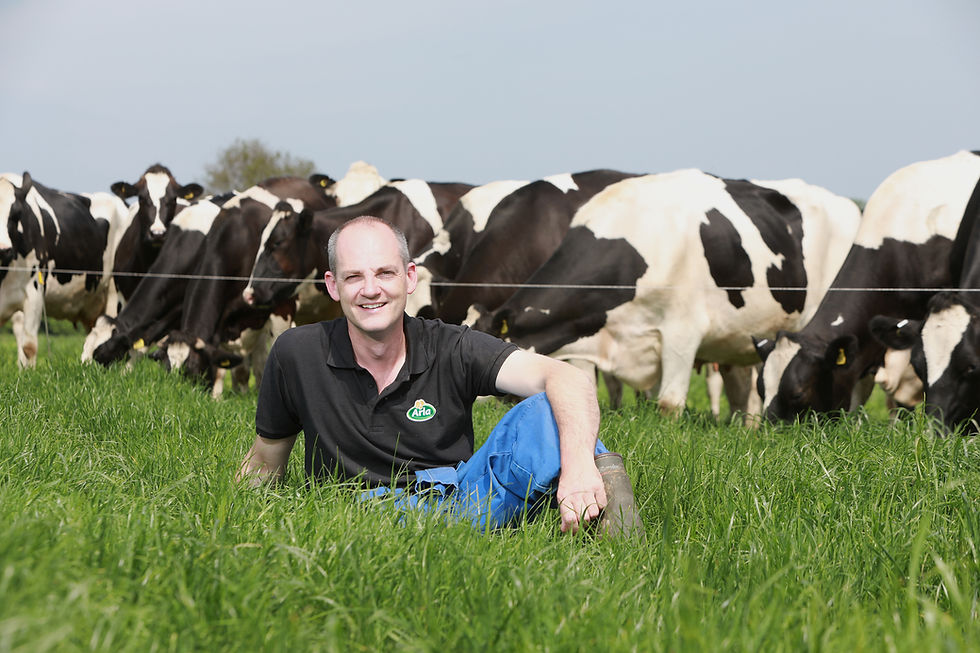 Aldi to invest over £30m to support dairy farming 