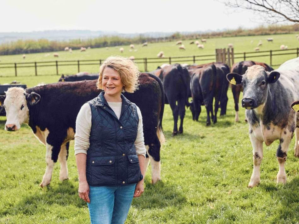 Lidl to invest £1.5bn in British beef production