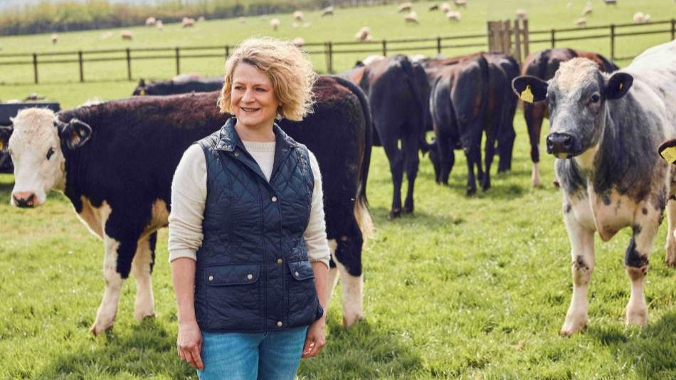 Lidl GB announces £30bn investment to support British food and farming