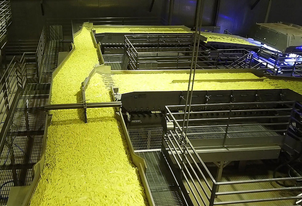 Key Technology launches high-capacity vibratory conveyers