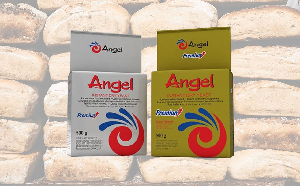 Angel Yeast invests $43.46m, establishes new subsidiary and facility in Indonesia