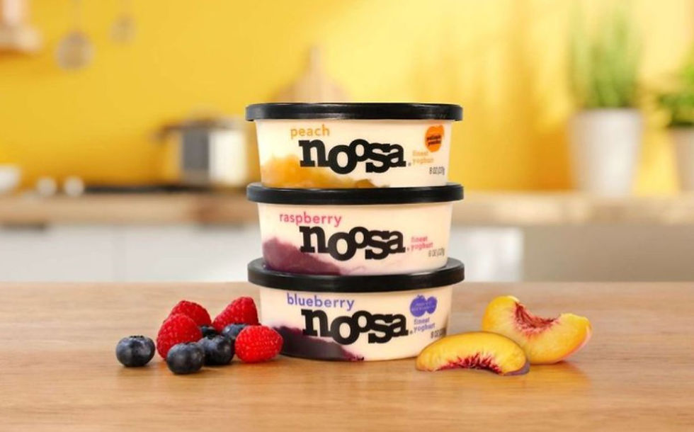 Campbell Soup offloads yogurt brand Noosa to Lakeview Farms