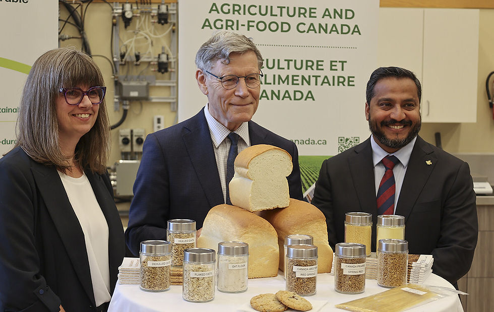 Cereals Canada invests $7.3m in cereal research to boost competitiveness