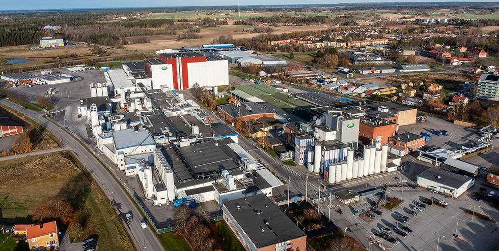 Arla Foods announces largest-ever investment with €300m Swedish cheese plant