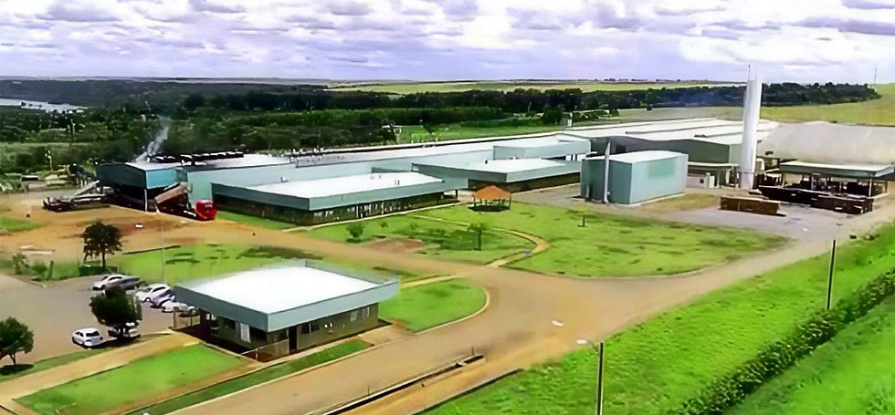Bonduelle offloads Brazilian facility to Stella d’Oro Alimentos