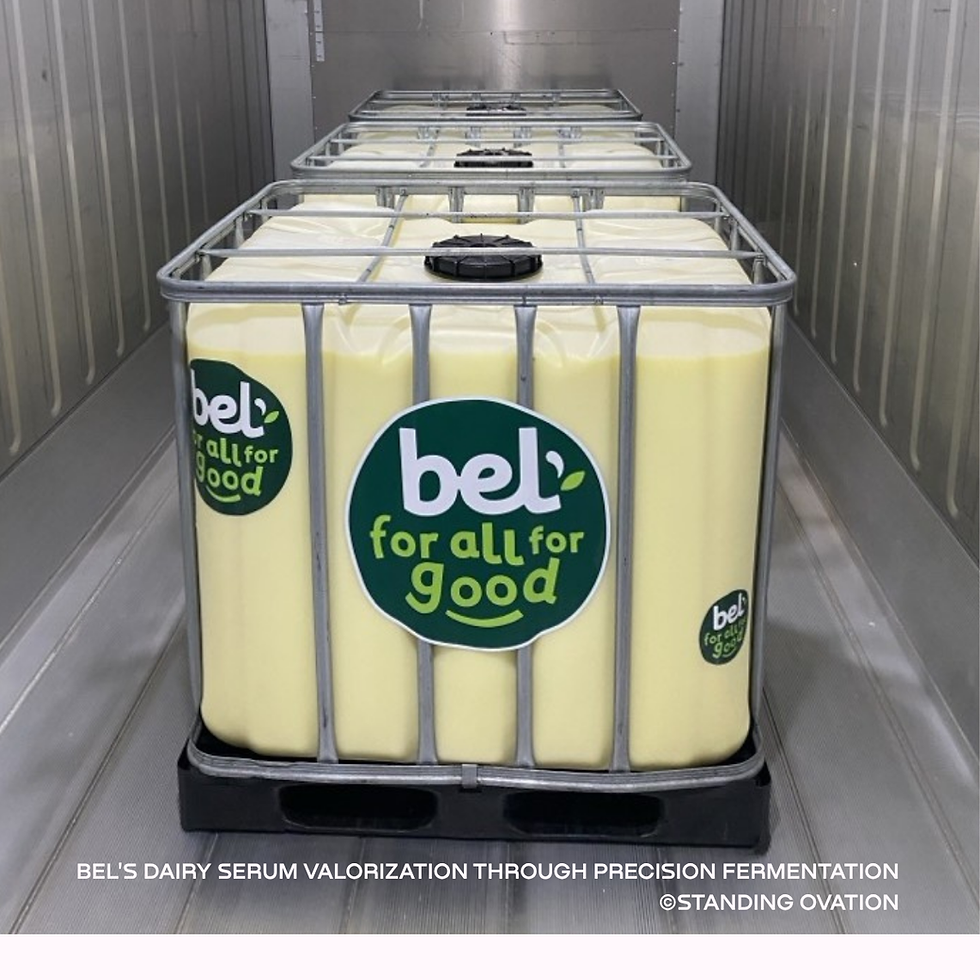 Bel invests $2.7m to cut dairy emissions in Canadian supply chain