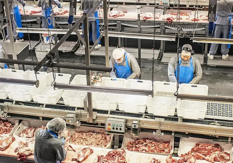 Danish Crown expands operations with new facility amid growing pork demand