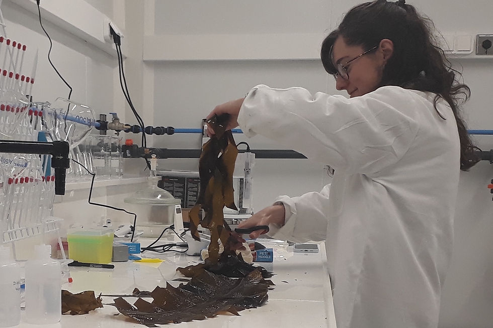Marine Biologics secures funding to develop novel ingredients from Alaskan kelp