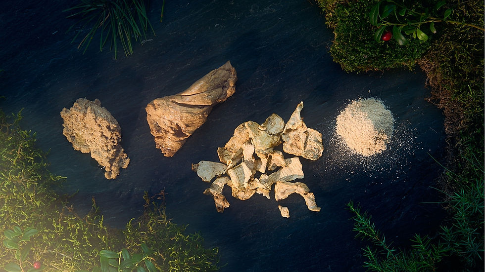 Fermentation at scale:  The path to affordability, nutrition and climate resilience