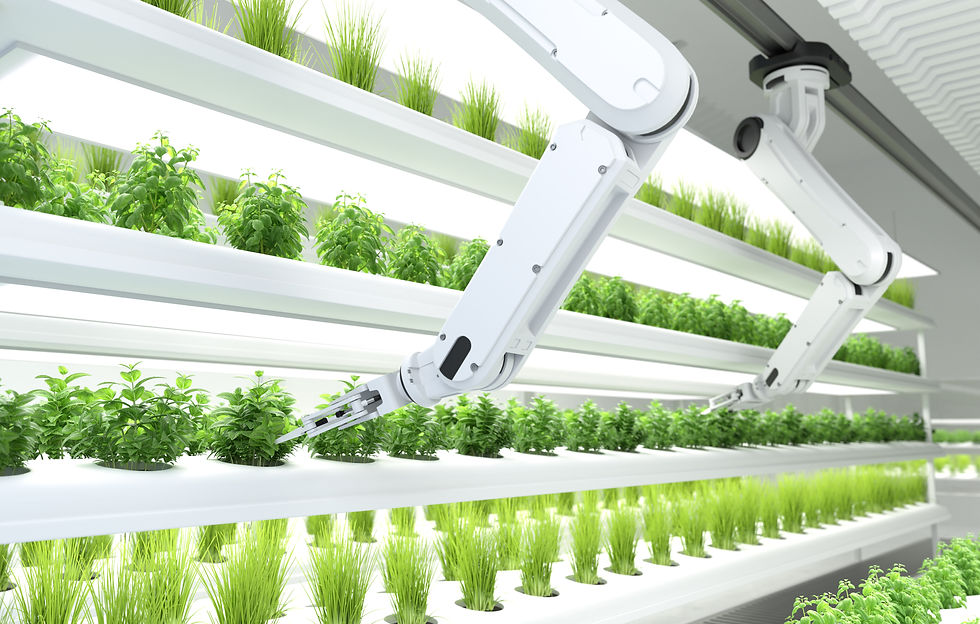 Global agri-food-tech investment shrinks as sector enters new growth phase