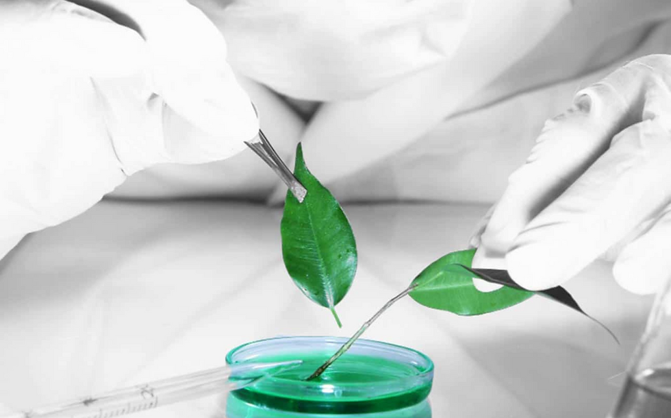Allozymes secures $15m in funding for European expansion