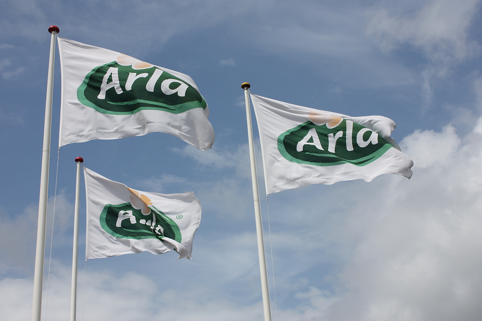 Arla approves record €296m payout to farmer owners as profitability strengthens