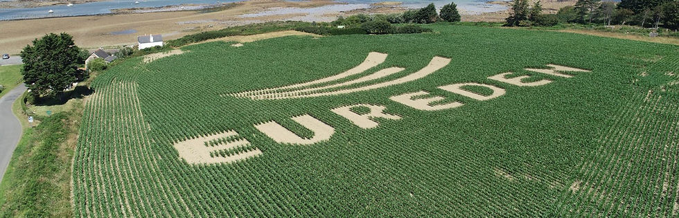 French competition authority approves major agri-food mergers