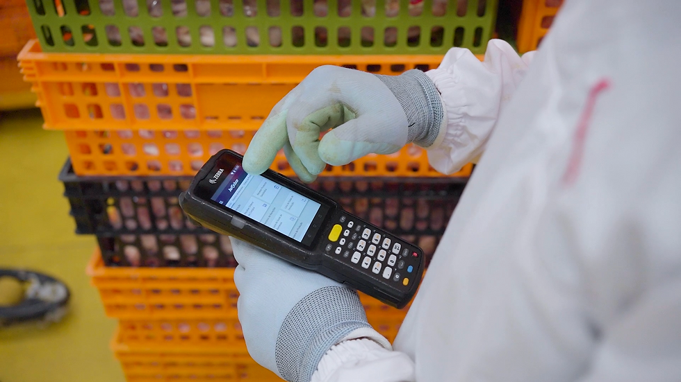 Start-up of the month: Brainr