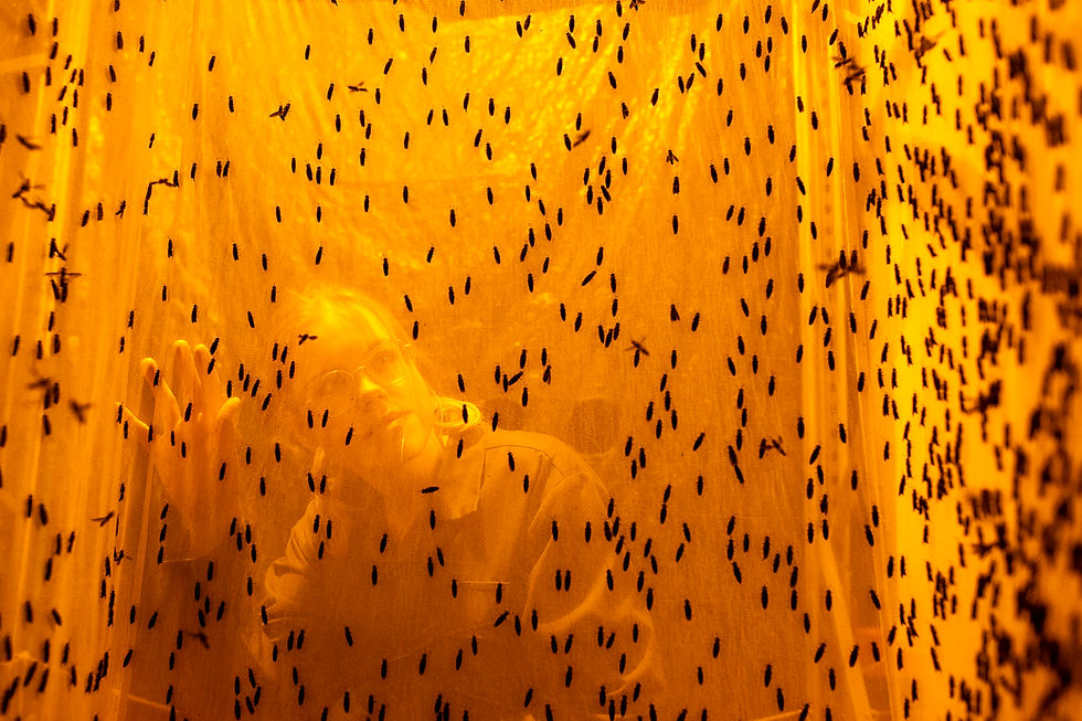 Volare secures €26m funding to transform insect protein production in Europe