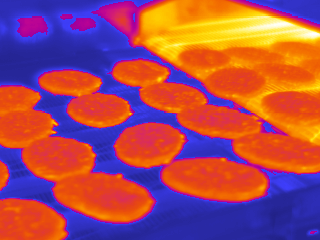 Opinion: The role of thermal imaging in food and beverage plant safety