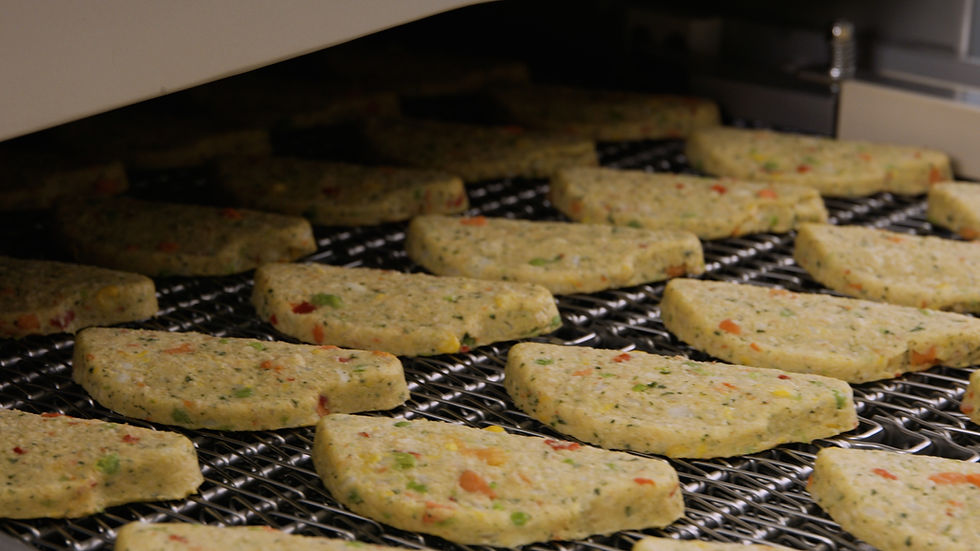 GEA launches compact spiral oven for smaller food production operations