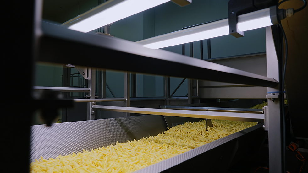 Polysense secures €2m to transform food industry with AI solutions