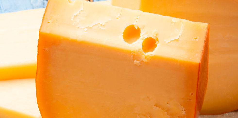 DSM-Firmenich unveils next-gen Dairy Safe cultures for cheese production 