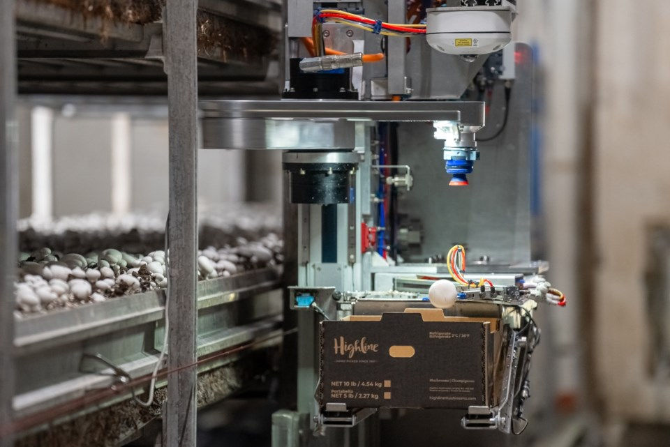 4AG Robotics secures CAD $40m to enhance autonomous mushroom harvesting