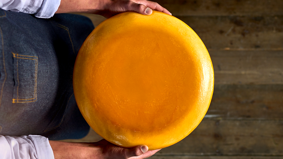 IFF introduces culture to enhance sustainability in semi-hard cheese production