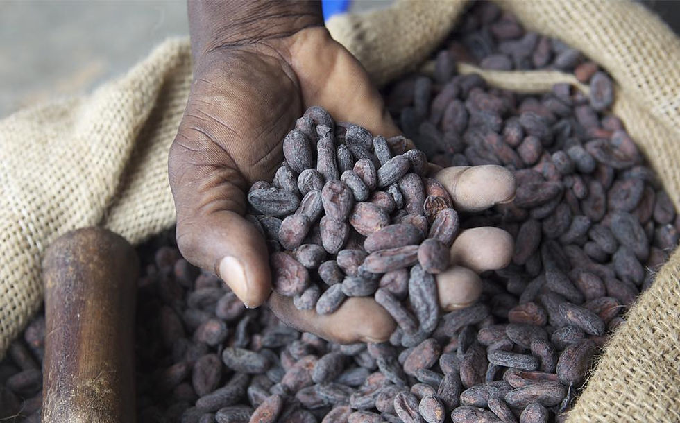 Cocoa bottleneck in Ivory Coast signals supply risk for global chocolate makers
