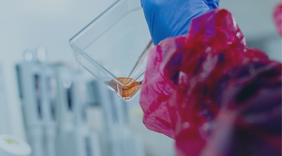 Multus launches food-grade basal media for cultivated meat production