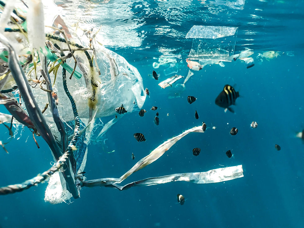 University of Edinburgh start-up develops 'smart' plastic to combat ocean pollution