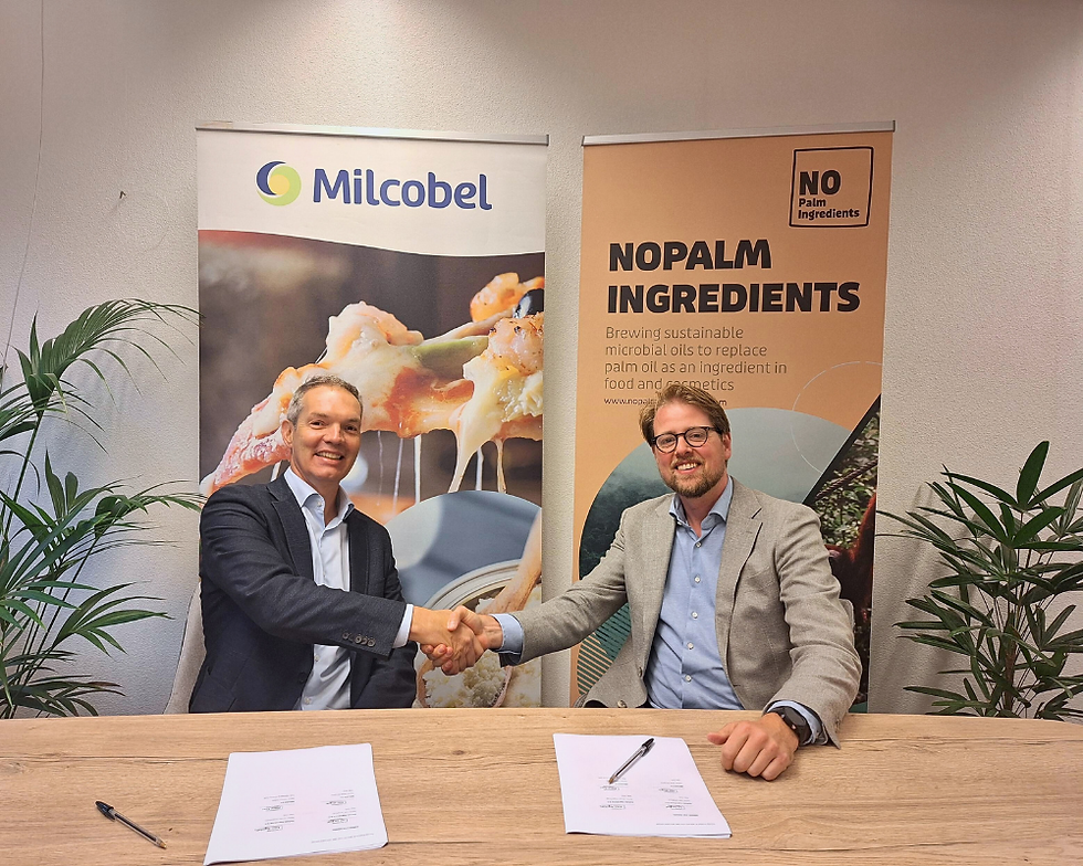 NoPalm Ingredients and Milcobel partner to scale sustainable palm oil alternatives