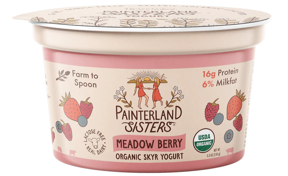 Painterland Sisters secures funding to drive growth in health-conscious dairy market