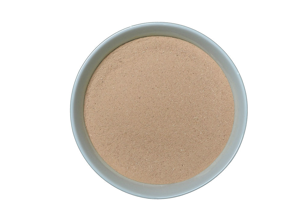 NovoNutrients raises $18m to scale carbon capture and protein production