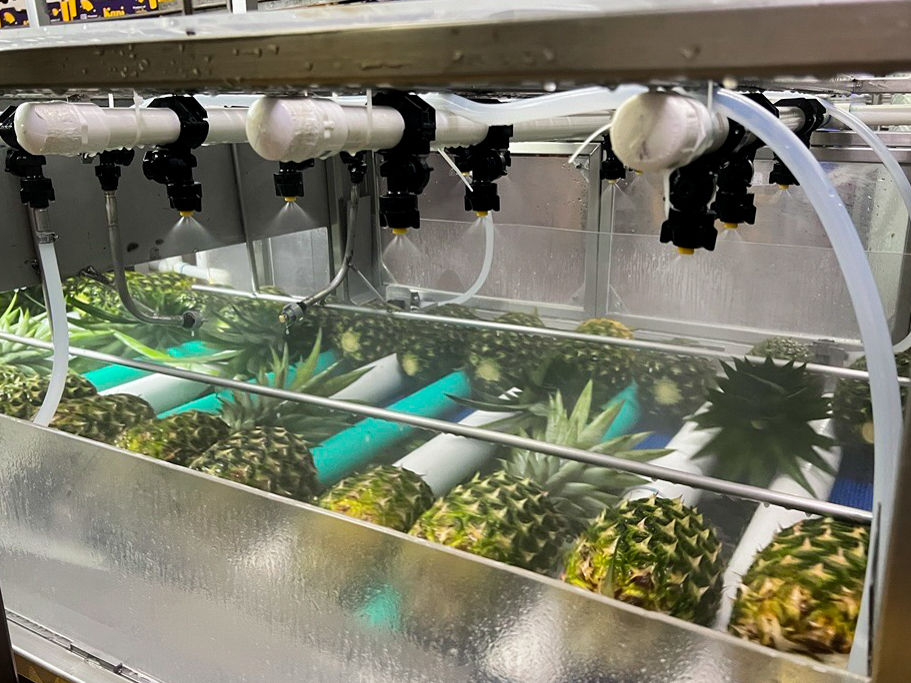 JBT Marel develops ProDose Pineapple Wax Dosing Machine