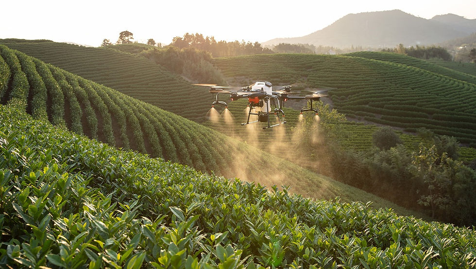 Opinion: The transformative power of IoT in agritech and smart farming 