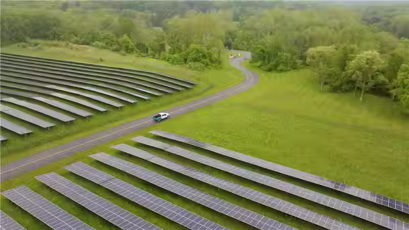 DSM-Firmenich reaches 100% renewable electricity target