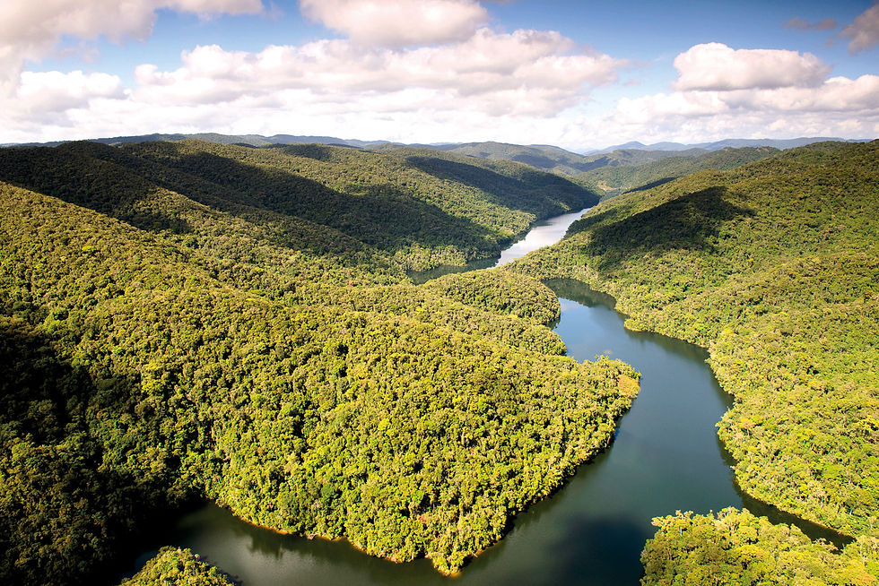 IFF and Reservas Votorantim forge bioprospecting partnership in Brazil