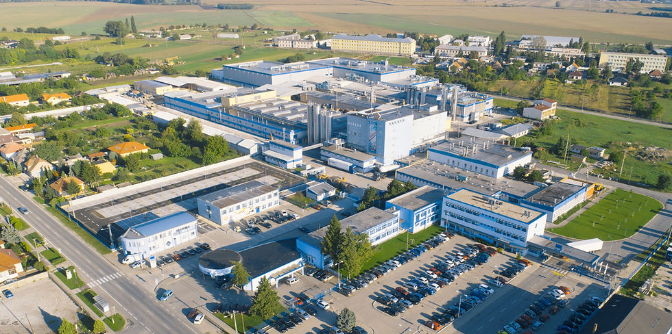 Valeo Foods bolsters presence in confectionery space with IDC Holding acquisition