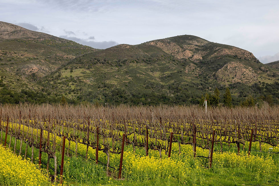 Stag’s Leap Wine Cellars acquires Arcadia Vineyard