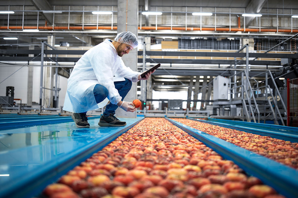 Efficiency, innovation and data: 2026 sustainability trends for manufacturers