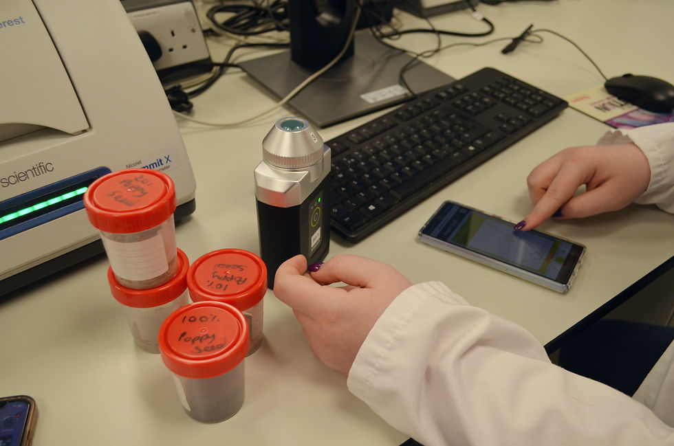 New technology enables rapid herb and spice authentication