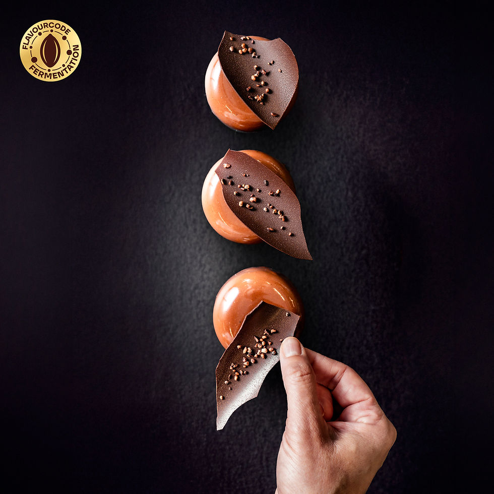 Barry Callebaut unveils new fermentation-based chocolate flavour solution, Flavourcode