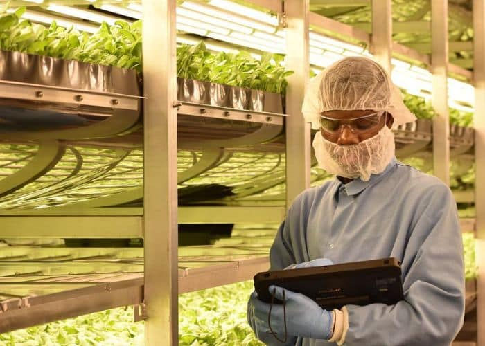 AeroFarms acquired by Palm Ventures 
