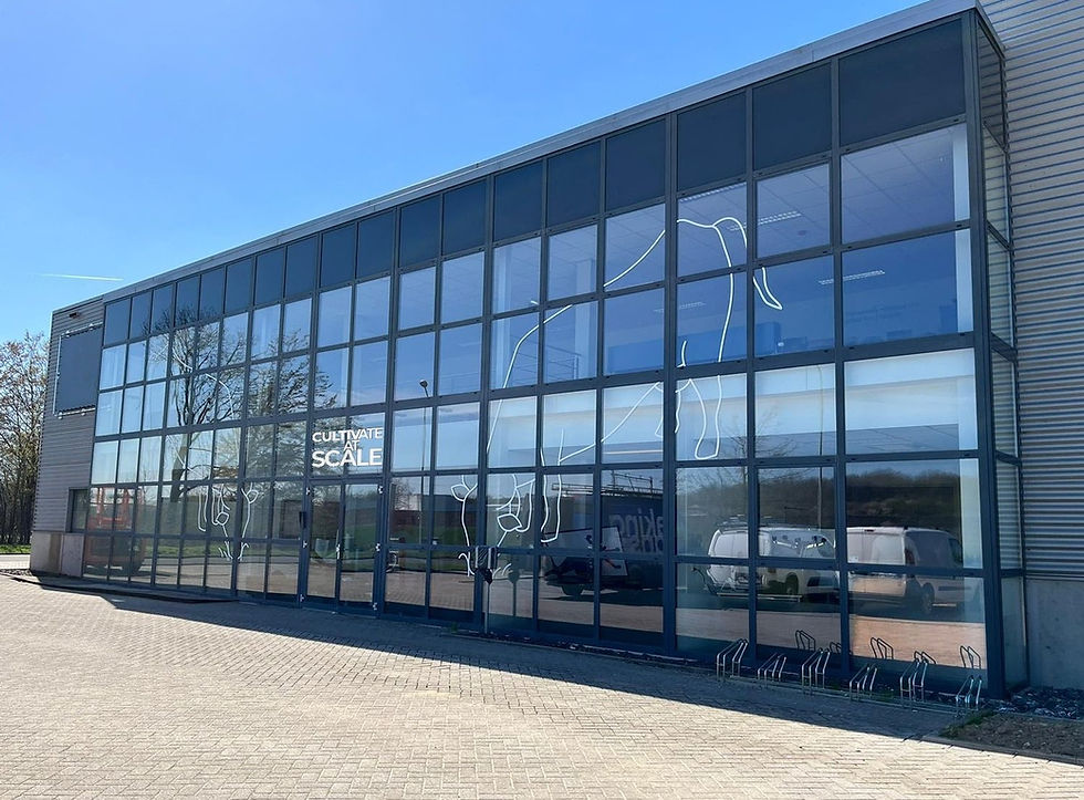 Two new cellular agriculture scale-up facilities launch in the Netherlands