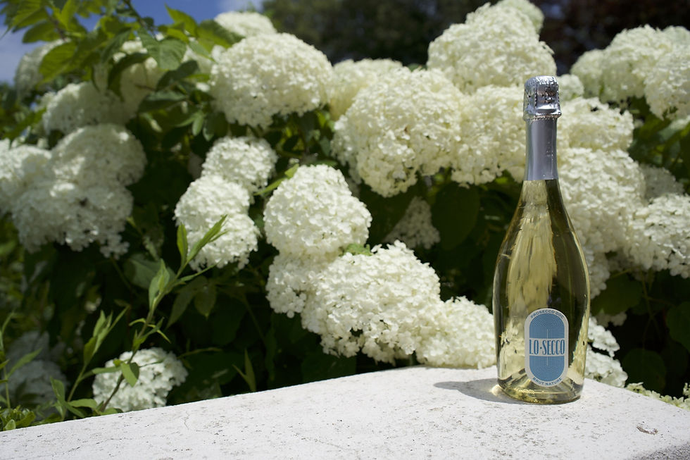 Lo Secco Prosecco launches new zero-sugar, low-calorie and vegan sparkling wine in US