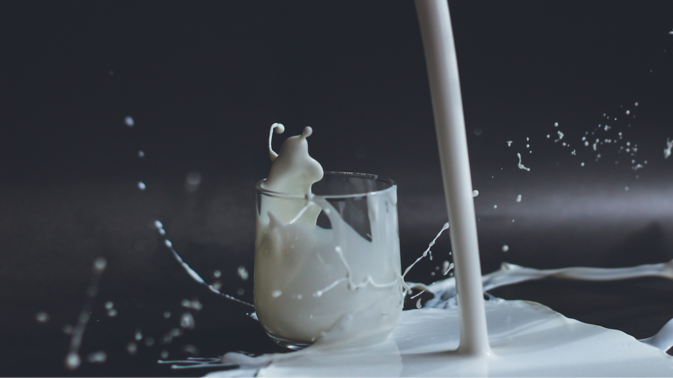 Morinaga Milk to suspend production at Akita plant in March 2026