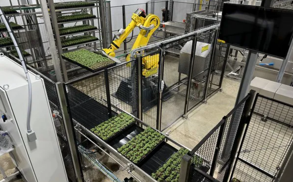 Soli Organic opens new soil-based vertical farm in Texas