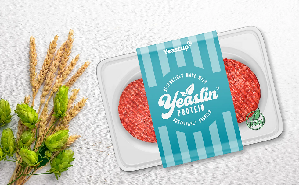 Yeastup secures $9.9m in Series A funding for new production site