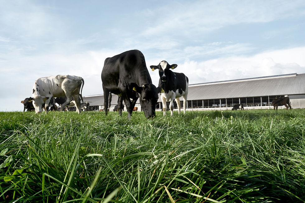 Arla brings customer partnership sustainability initiative to Denmark